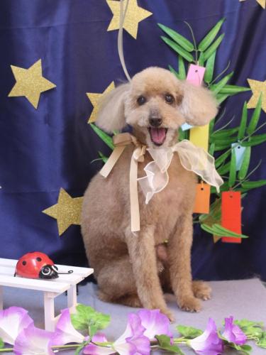 20230709こたろうくん